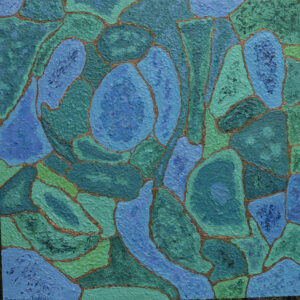 CONTINENTS ENDORMIS 92/92